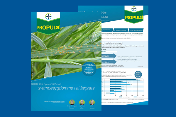 Propulse i frøgræs onepager